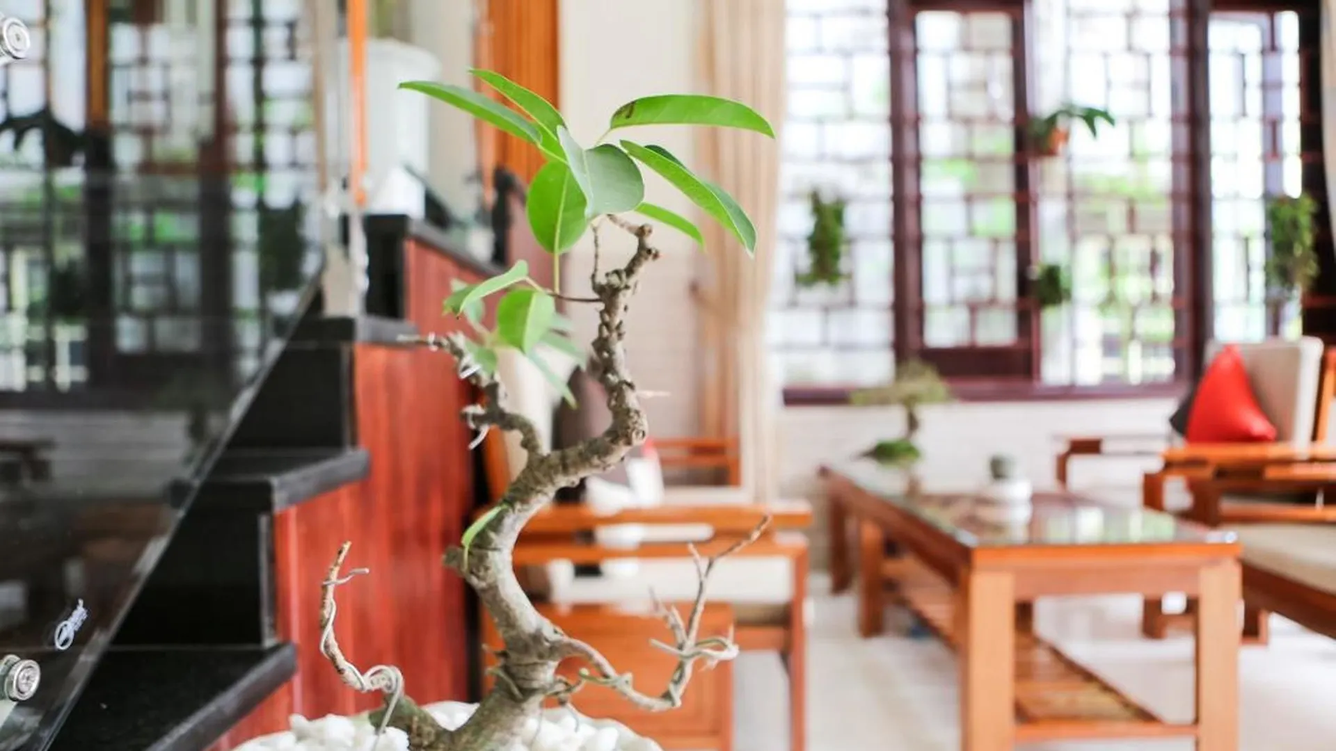 Viet Nhat Homestay Hoi An